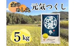 【ふるさと納税】CE-056_金のめし丸元気つくし 5Kg