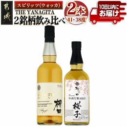 【ふるさと納税】【柳田酒造】海外向けスピリッツ 2銘柄飲み比べセット ≪みやこんじょ特急便≫_AC-0753