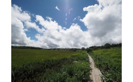 【ふるさと納税】【八島湿原 ぐるっとウォーク】〜花と生きものたちとの出会い　癒やしの湿原めぐり〜ツアー参加券３名様分／八ヶ岳登山