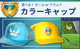 【ふるさと納税】【NAGAREYAMA F.C.】ホームカラーキャップ エンブレム（フリーサイズ） ストラップ＆キーホルダー付