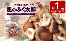 【ふるさと納税】神栖市しいたけ「風のふく太郎」 約1kg