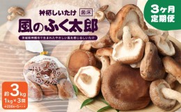 【ふるさと納税】【3ヶ月定期便】神栖市しいたけ「風のふく太郎」 約1kg