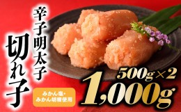 【ふるさと納税】AB325.こだわりの辛子明太子切れ子1,000g