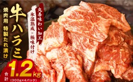 【ふるさと納税】【丸善特製ダレ】牛肉 ハラミ 1.2kg（300×4） 099H2448