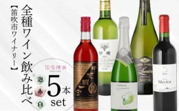 【ふるさと納税】ワイン全種飲み比べ5本セット 157-034