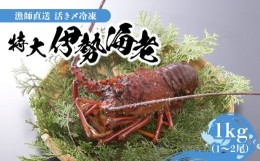 【ふるさと納税】【漁師直送】活き〆冷凍　特大伊勢海老１ｋｇ（１〜２尾）