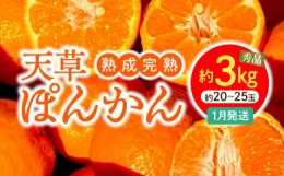 【ふるさと納税】S117-003_香りを食す！熟成完熟天草ぽんかん 1月発送 約3kg秀品〈先行受付〉