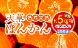 【ふるさと納税】S117-006_香りを食す！熟成完熟天草ぽんかん 2月発送 約5kg箱 秀品〈先行受付〉