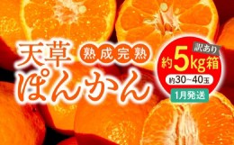 【ふるさと納税】S117-008_【訳あり】熟成完熟天草ぽんかん 1月発送 約5kg箱〈先行受付〉