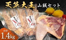 【ふるさと納税】天草大王 【山賊セット】 幻の鶏 キャンプ BBQ 骨付き もも肉 (800g) 大手羽先 (3本×2) セット 鶏肉