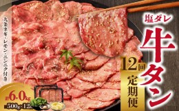 【ふるさと納税】≪定期便全12回≫【大盛九条ネギ】塩ダレ牛タン500g 薄切り 牛タン 牛たん 九条ねぎ 塩ダレ牛タン 味付き 焼くだけ 簡単