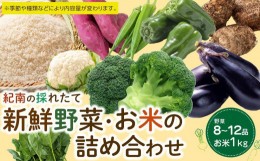 【ふるさと納税】紀南の採れたて新鮮野菜・お米詰め合わせセット（8〜12品目詰め合わせ）