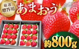 【ふるさと納税】【12月以降発送！】贈答用 あまおう 約800g＜株式会社うるう農園＞那珂川市 [GDX002]