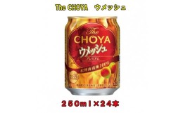 【ふるさと納税】The CHOYAウメッシュ 250ml×１ケース（２４本）