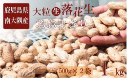 【ふるさと納税】食べ応え抜群の大粒落花生「おおまさり」５００g袋×２袋≪数量限定≫★7月中旬より順次発送★鹿児島県産