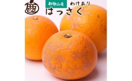 【ふるさと納税】＜1月より発送＞家庭用はっさく5kg+150g（傷み補償分）訳あり