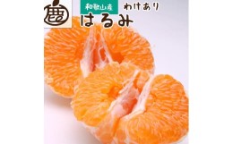 【ふるさと納税】＜2月より発送＞家庭用はるみ2.5kg+75g（傷み補償分）訳あり