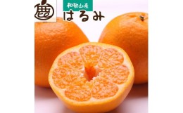 【ふるさと納税】＜2月より発送＞厳選 はるみ1.5kg+45g（傷み補償分）