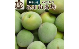 【ふるさと納税】紀州南高梅(青梅)4kg+120g（傷み補償分） 家庭用 訳あり 【先行予約・6月発送】