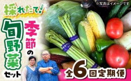 【ふるさと納税】【 全6回定期便/偶数月お届け 】 季節の野菜 定期便 詰め合わせ セット 野菜 果物 / 季節 旬 春野菜 夏野菜 秋野菜 / 産