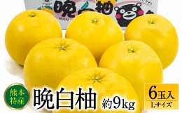 【ふるさと納税】【先行予約】 晩白柚Lサイズ 6玉入り 約9kg 【2024年12月中旬より順次発送】 