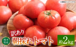 【ふるさと納税】【訳あり】朝採れトマト 約2kg 熊本県 八代市産