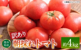 【ふるさと納税】【訳あり】朝採れトマト 約4kg 熊本県 八代市産