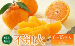 【ふるさと納税】不知火（デコポンと同品種）【熊本県八代市産】6〜15玉入 約3kg しらぬい でこみかん 柑橘 ミカン ポンカン くだもの 果