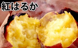 【ふるさと納税】訳あり 紅はるか 約10kg