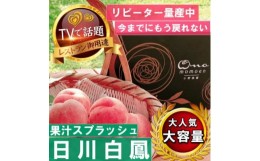 【ふるさと納税】＜果汁スプラッシュ日川白鳳＞人気品種指定ギフト3年連続TV出演話題ブランド桃2024年6月下旬発送【1465185】