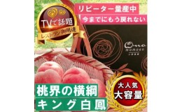 【ふるさと納税】＜桃界の横綱キング白鳳＞人気品種指定ギフト3年連続TV出演話題ブランド桃2024年7月上旬発送【1465187】