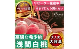 【ふるさと納税】＜市場にほぼ出回らない浅間白桃＞人気品種指定ギフト3年連続TV出演話題ブランド2024年7月中旬発【1465263】