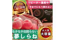 【ふるさと納税】＜滅多にお目にかかれない夢しらね＞人気品種指定ギフト3年連続TV出演話題ブランド2024年7月下旬【1465306】