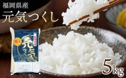 【ふるさと納税】【令和5年産】福岡県産ブランド米「元気つくし」白米　5kg【米 ブランド米 ブランド 白米 元気つくし 令和5年産 家庭用 