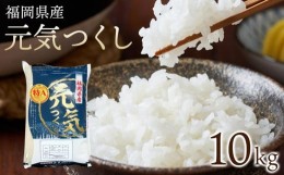 【ふるさと納税】【令和5年産】福岡県産ブランド米「元気つくし」白米　10kg【米 ブランド米 ブランド 白米 元気つくし 令和5年産 家庭用