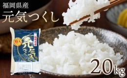 【ふるさと納税】【令和5年産】福岡県産ブランド米「元気つくし」白米　20kg【米 ブランド米 ブランド 白米 元気つくし 令和5年産 家庭用