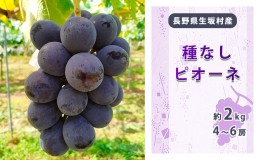 【ふるさと納税】種なしピオーネ　4〜6房入り（約1.7kg〜2kg）