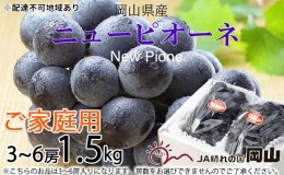 【ふるさと納税】ぶどう 2024年 先行予約 ご家庭用 ニュー ピオーネ 3〜6房 約1.5kg ブドウ 葡萄  岡山県産 国産 フルーツ 果物