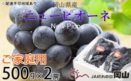 【ふるさと納税】ぶどう 2024年 先行予約 ご家庭用 ニュー ピオーネ 約500g×2房 ブドウ 葡萄  岡山県産 国産 フルーツ 果物