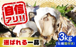 【ふるさと納税】【5月18日（土）着】特選 牡蠣三昧！【生牡蠣】広島牡蠣　殻付き3kg 牡蠣 かき カキ 生牡蠣 殻付き 広島 江田島市/株式