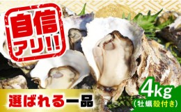 【ふるさと納税】【5月15日（水）着】特選 牡蠣三昧！【生牡蠣】広島牡蠣　殻付き4kg 牡蠣 かき カキ 生牡蠣 殻付き 広島 江田島市/株式