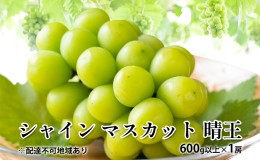 【ふるさと納税】ぶどう 2024年 先行予約 シャイン マスカット 晴王 600g以上×1房 種無し ブドウ 葡萄  岡山県産 国産 フルーツ 果物 ギ