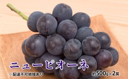 【ふるさと納税】ぶどう 2024年 先行予約 ニュー ピオーネ 約500g×2房 種無し ブドウ 葡萄  岡山県産 国産 フルーツ 果物 ギフト