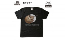 【ふるさと納税】恐竜・古代生物Tシャツ　カブトガニ　サイズ110（キッズ・ユニセックス）