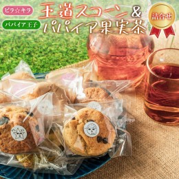 【ふるさと納税】「ピラ☆キラ」の王道スコーン 8個＆「パパイア王子」のパパイア果実茶 詰合せ（卵・乳製品・白砂糖 不使用）【B432】