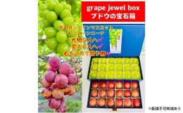 【ふるさと納税】ぶどう 2024年 先行予約 シャインマスカット クイーンニーナ 大粒のみ 36粒 ＪＥＷＥＬＢＯＸ ギフト 贈り物 岡山 国産 