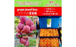 【ふるさと納税】ぶどう 2024年 先行予約 クイーンニーナ 大粒のみ 36粒 ＪＥＷＥＬＢＯＸ ギフト 贈り物 岡山 国産 果物 フルーツ [No.5