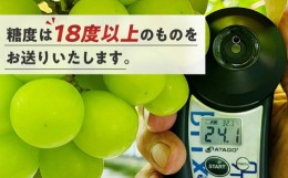 【ふるさと納税】ぶどう 2024年 先行予約 シャインマスカット 秀品 約500g 1房 農林大臣賞受賞 岡山 国産 果物 フルーツ シャイン マスカ