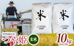 【ふるさと納税】数量限定 【令和6年産先行予約】 山形県庄内産 小池半左衛門のお米 特別栽培米 つや姫 玄米 10kg (5kg×2袋)