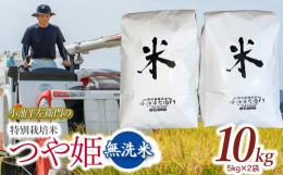 【ふるさと納税】数量限定 【令和6年産先行予約】 山形県庄内産 小池半左衛門のお米 特別栽培米 つや姫 無洗米 10kg (5kg×2袋)